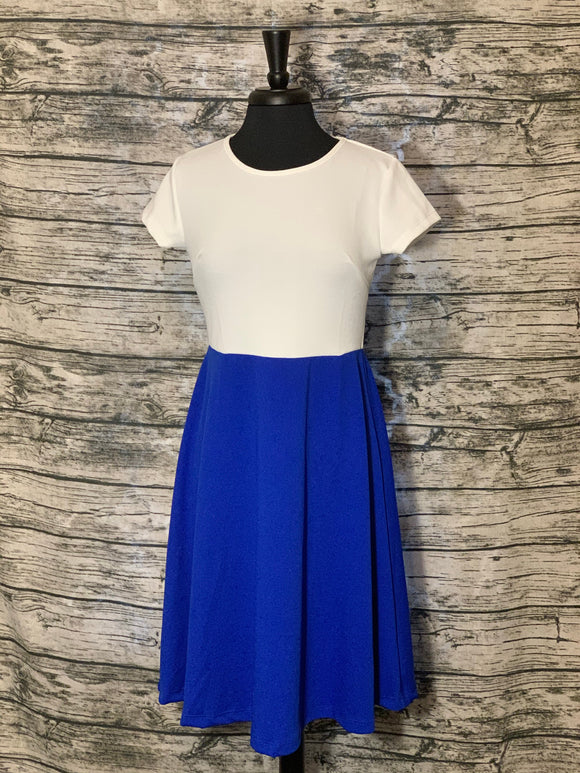 Women's Short Sleeve Scoop Neck Dress White and Royal Blue  Color Block