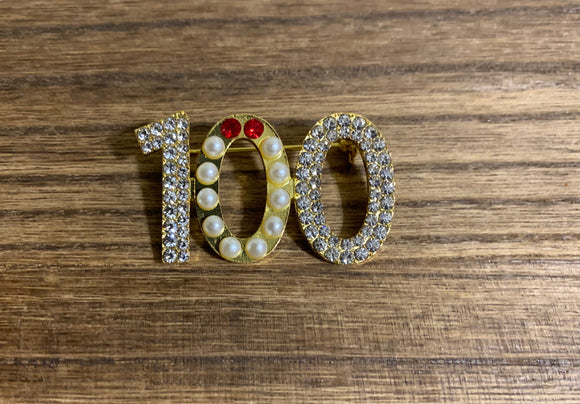 100 pins